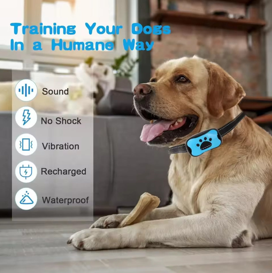 Anti-Bell-Halsband für Hunde - Ton & Vibration