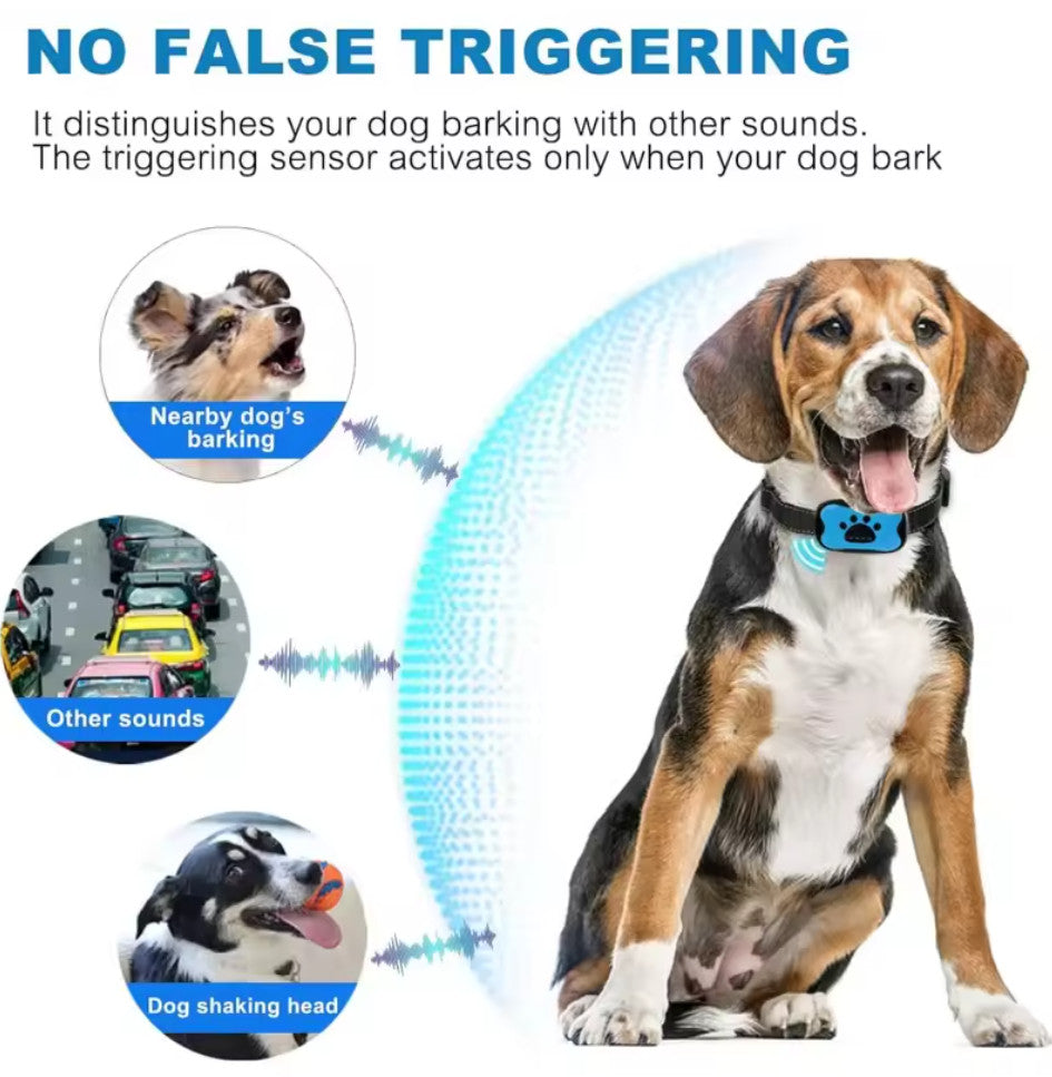 Anti-Bell-Halsband für Hunde - Ton & Vibration