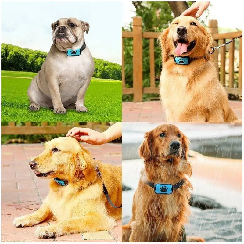 Anti-Bell-Halsband für Hunde - Ton & Vibration